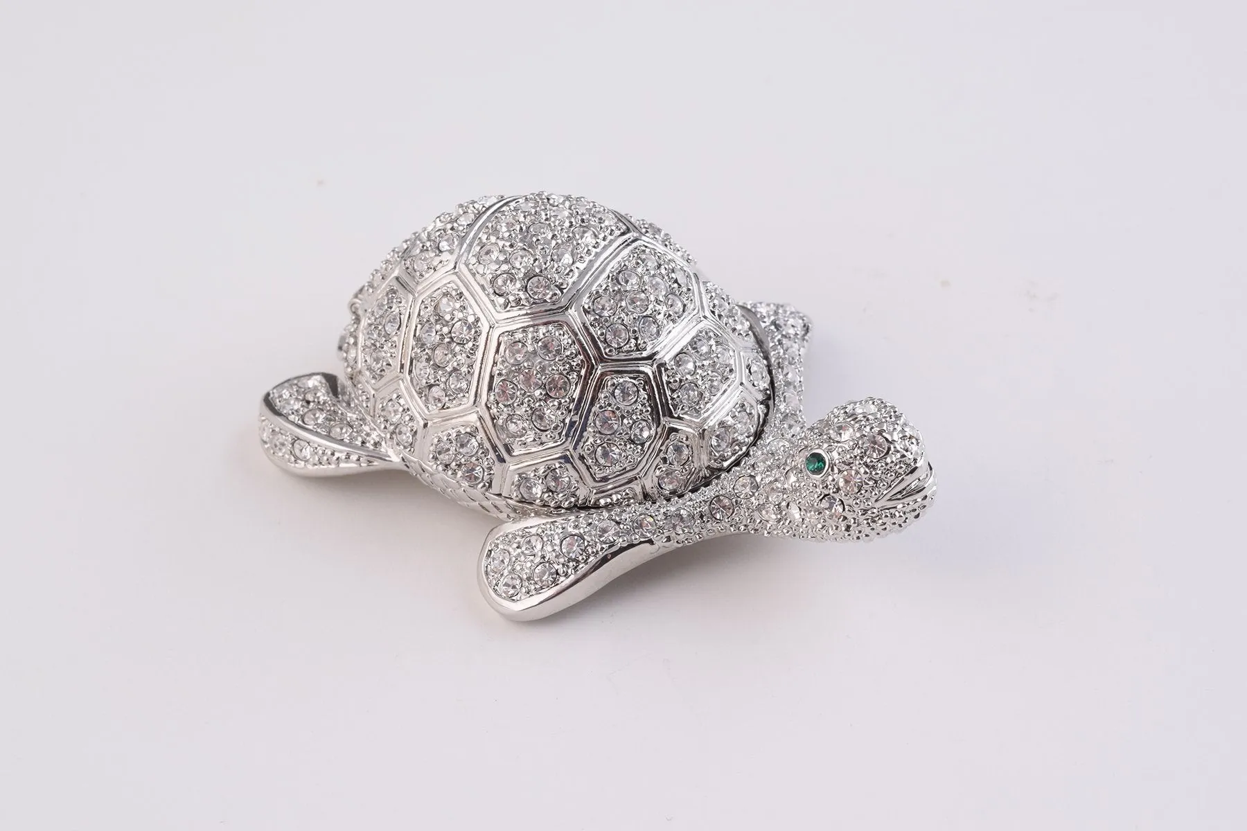 Silver Turtle