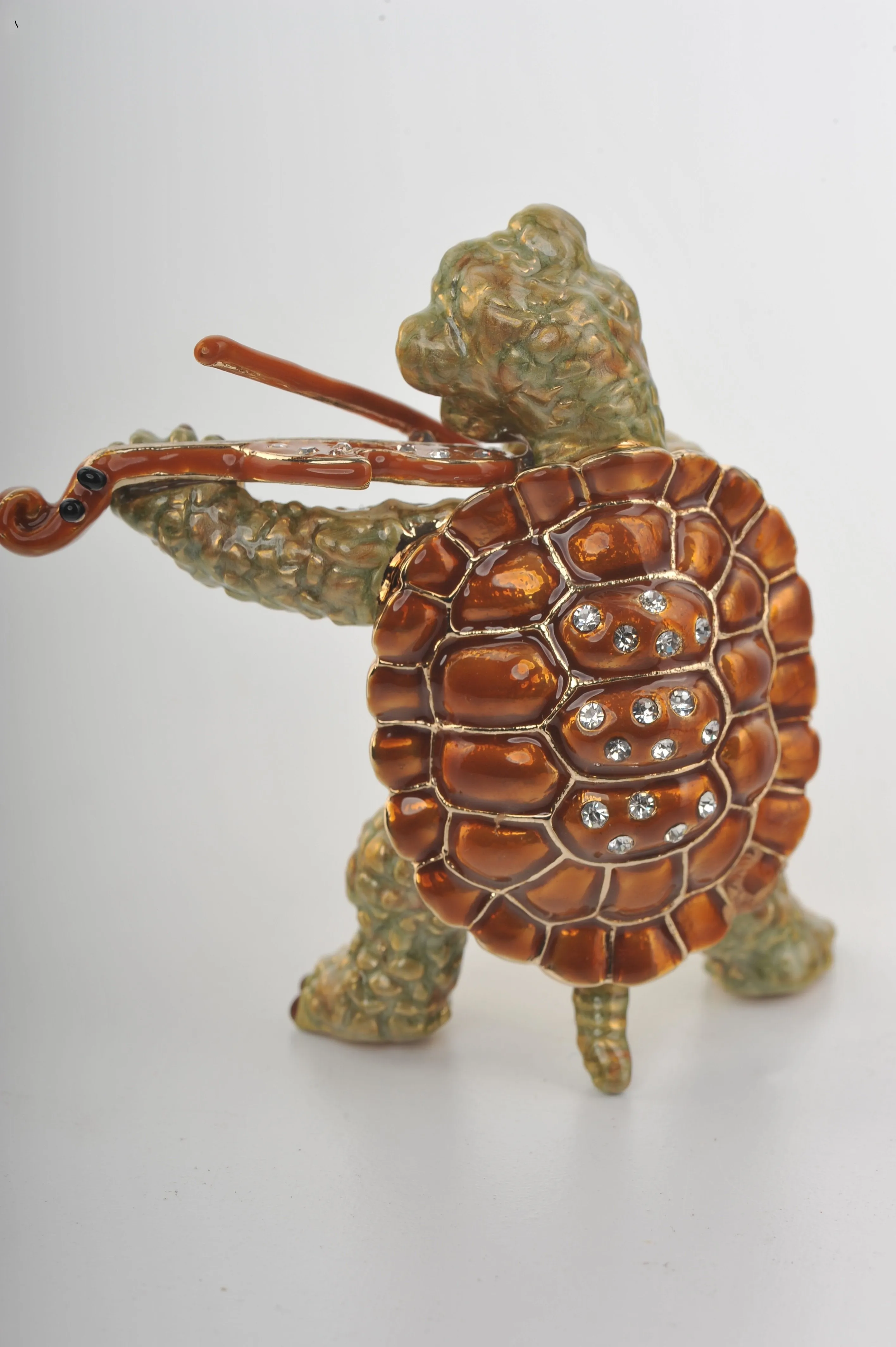 Turtle Playing the Violin
