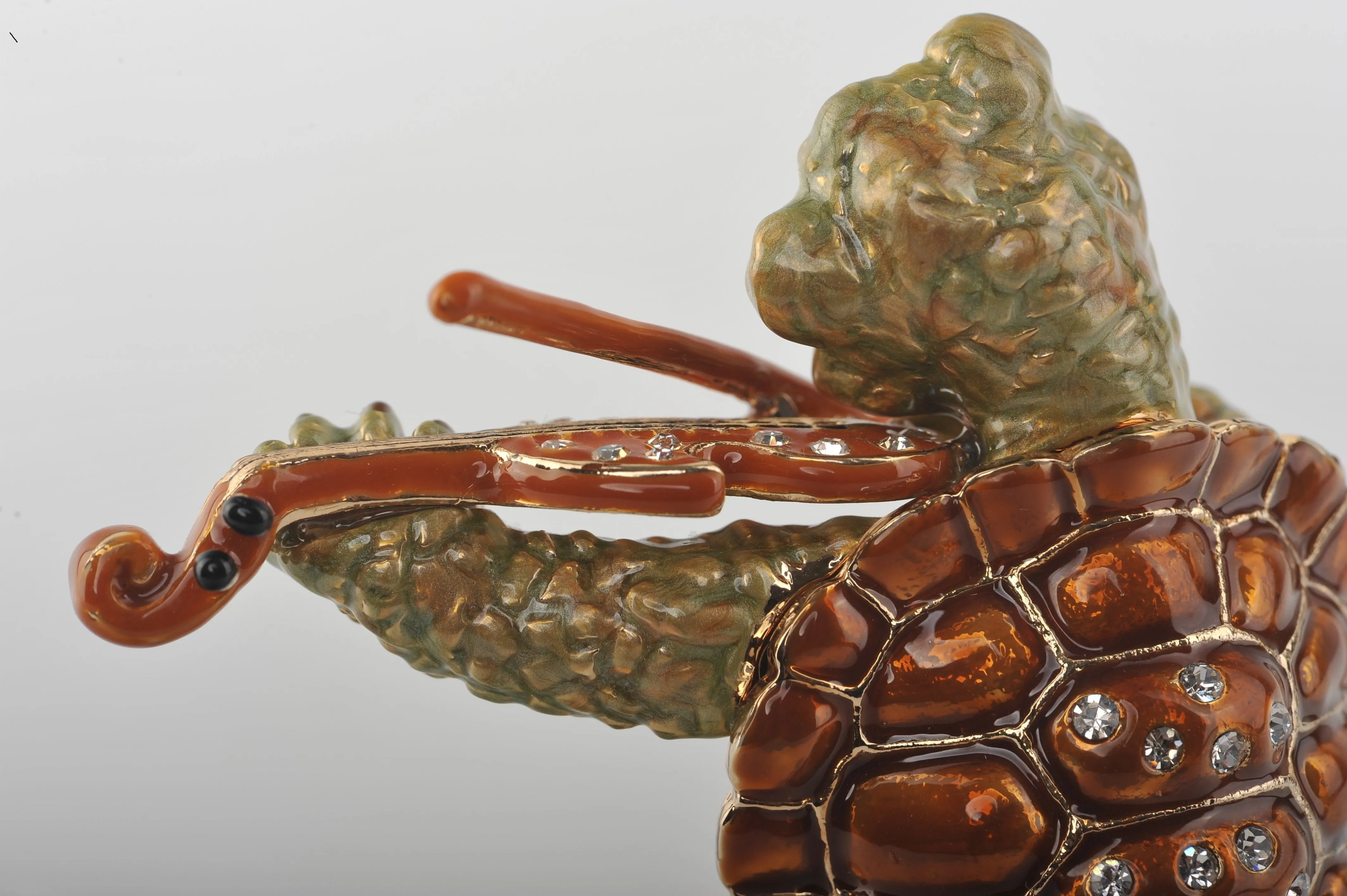 Turtle Playing the Violin
