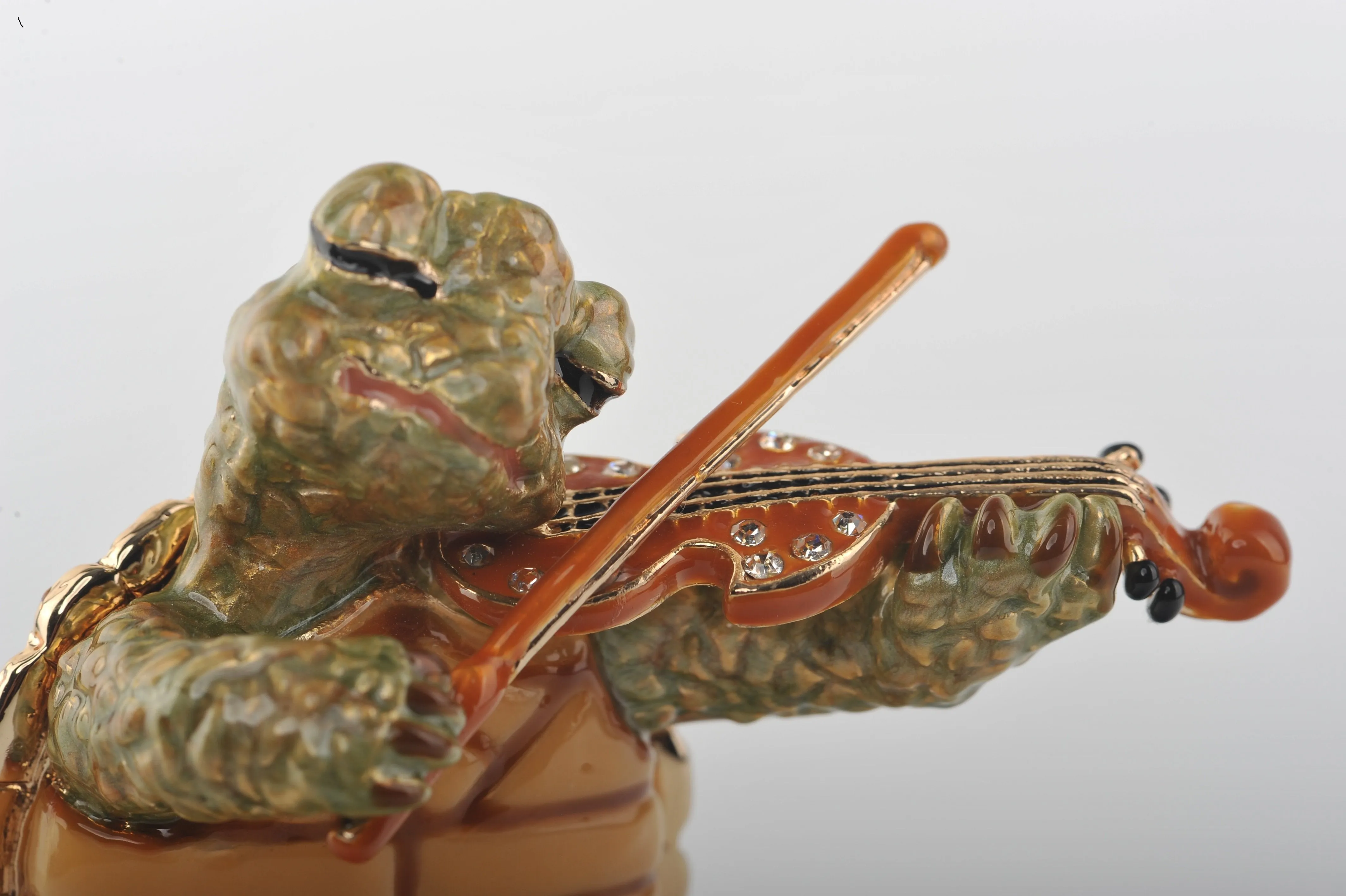 Turtle Playing the Violin
