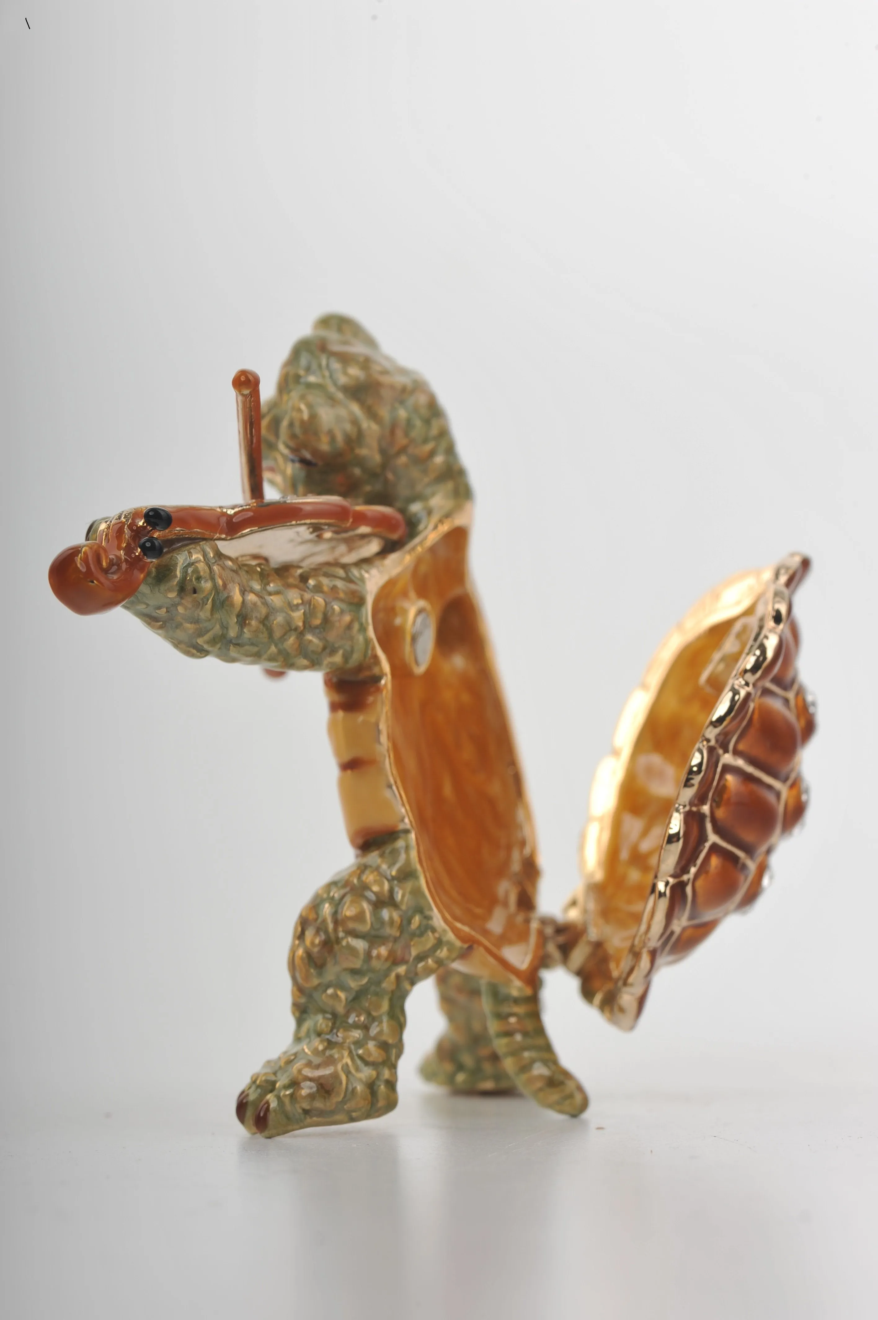 Turtle Playing the Violin