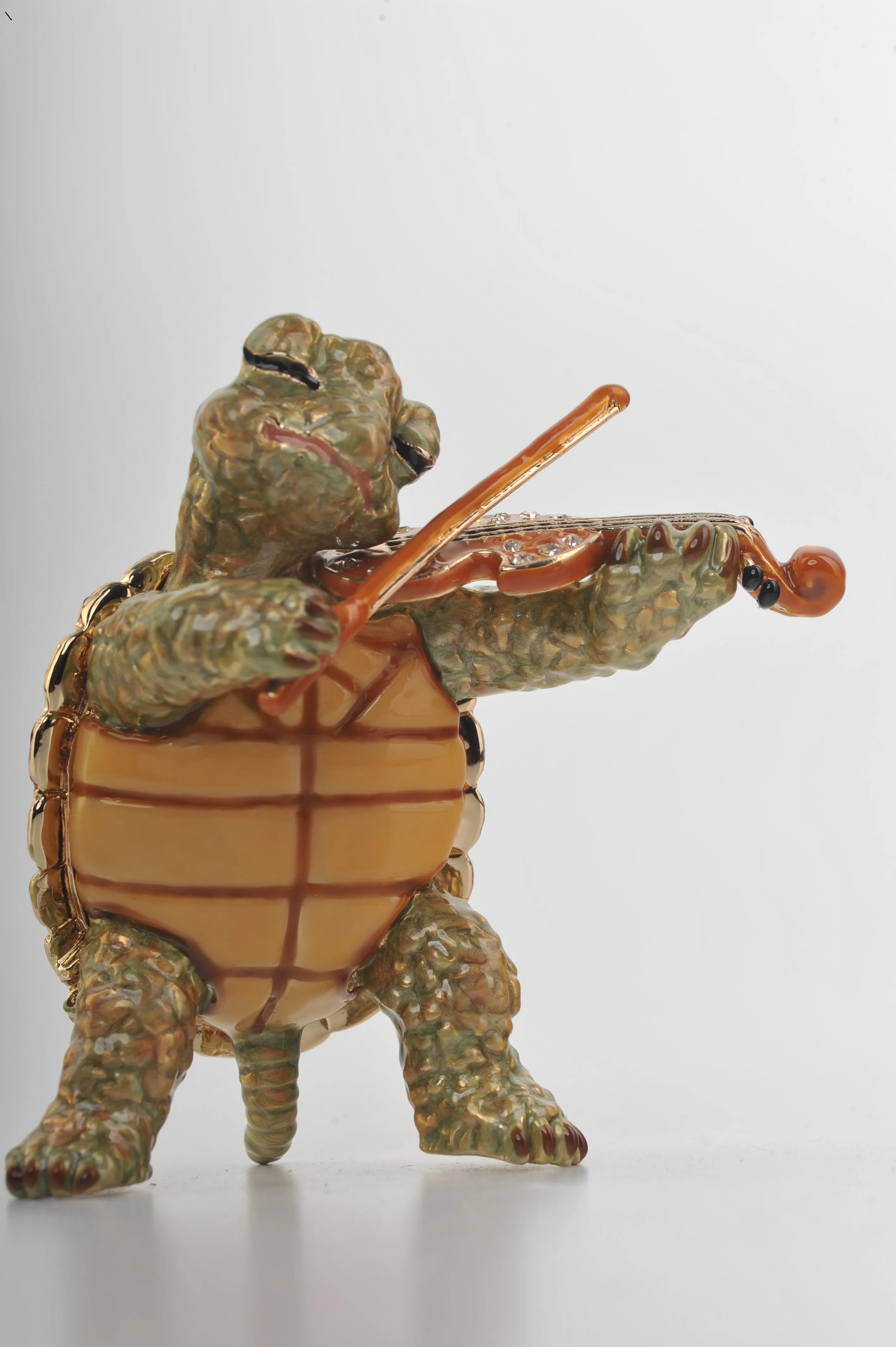 Turtle Playing the Violin