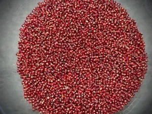 Vintage Venetian Seed Beads - 11/0 - Transparent Garnet