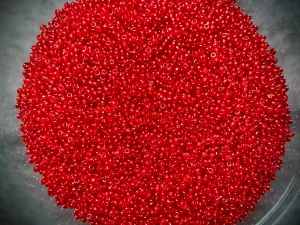 Vintage Venetian Seed Beads - 11/0 - Transparent Scarlet Red