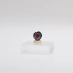 Watermelon Tourmaline Slice (I)