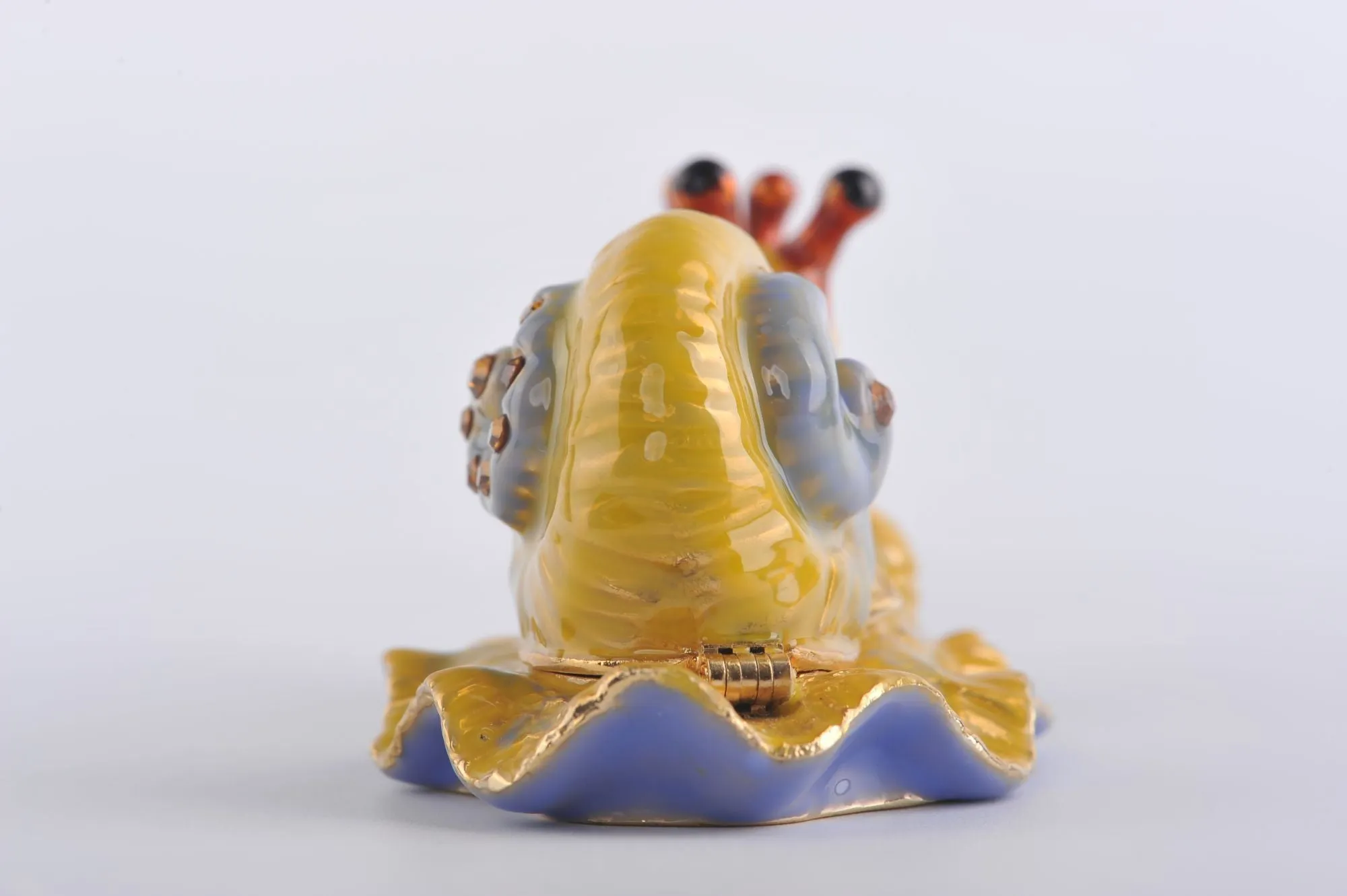 Yellow Red & Blue Snail